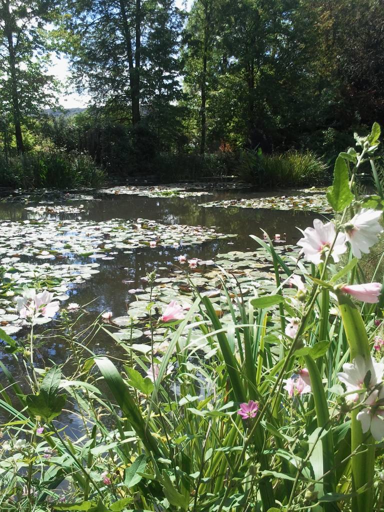 Giverny, la maison de Monet: 2011-08-16 15